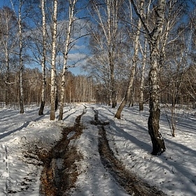 Зимний пейзаж (по мотивам произведений И. Грабаря)