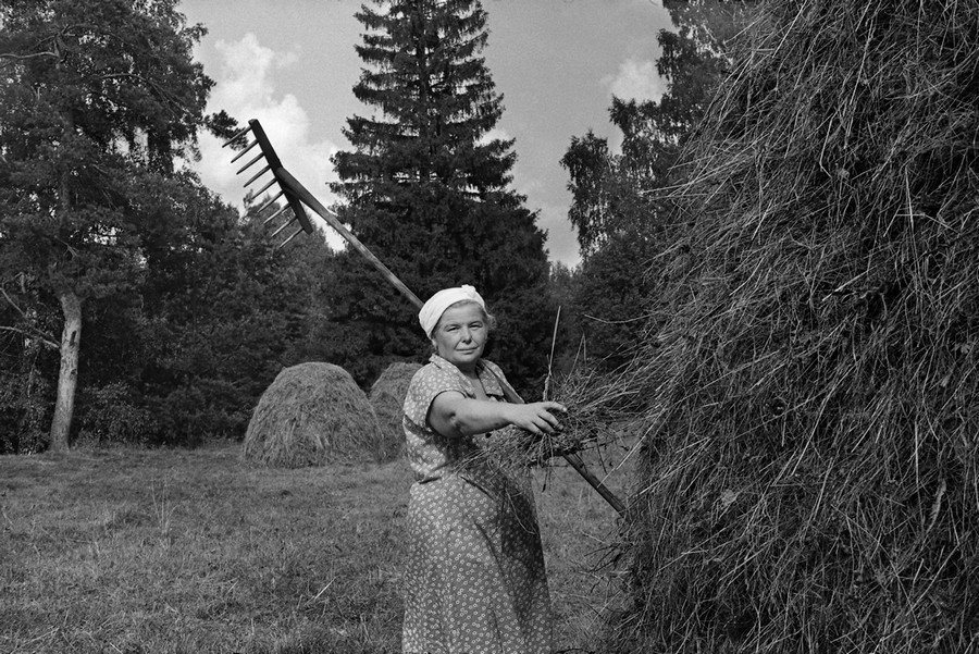А. Шулепов  "Сенокос"
