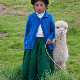 Девочка с альпакой