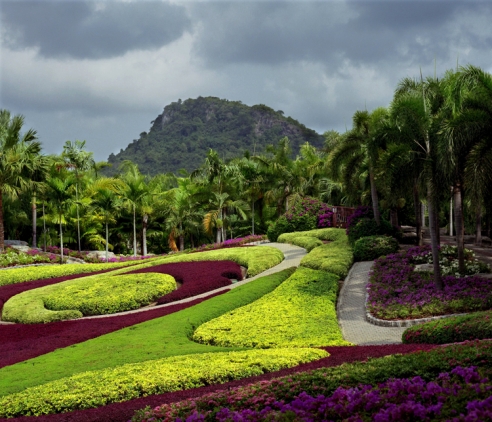 Парк Орхидей. Тайланд.
