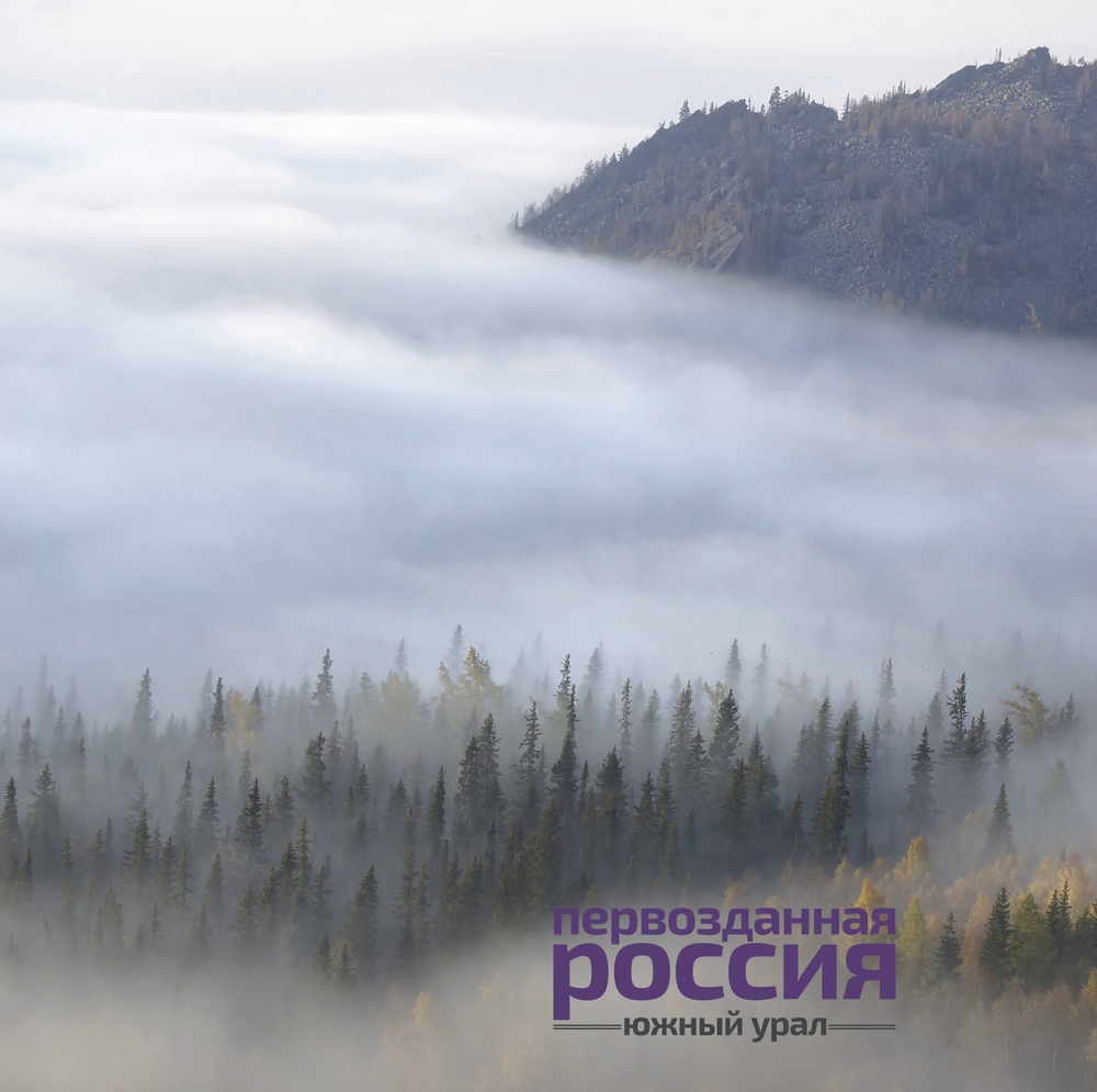 Выставка южноуральских фотографов поедет в Курган