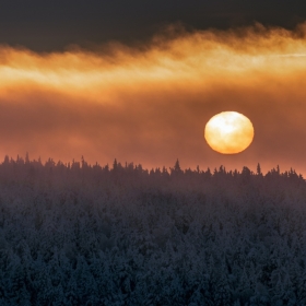 Мороз и солнце автора Getsevphoto