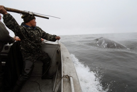 Серия "Охота на кита". Андрей Шапран. Новосибирск