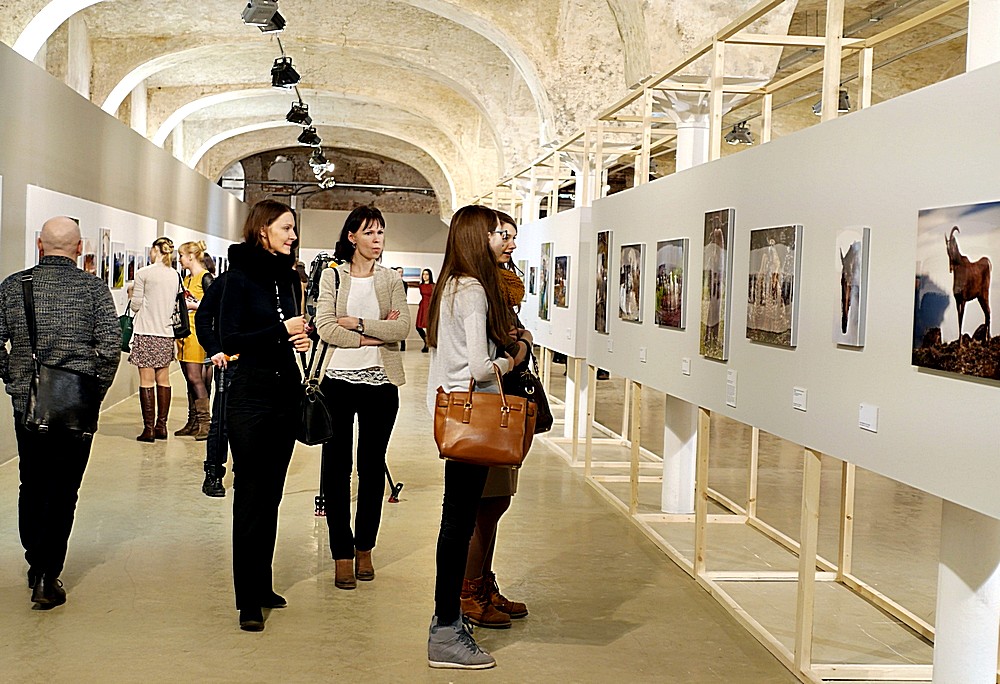 P1260553.JPG